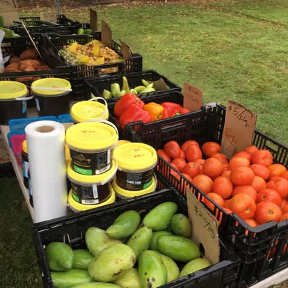 528983043_769737242246258_550401000925443031_n